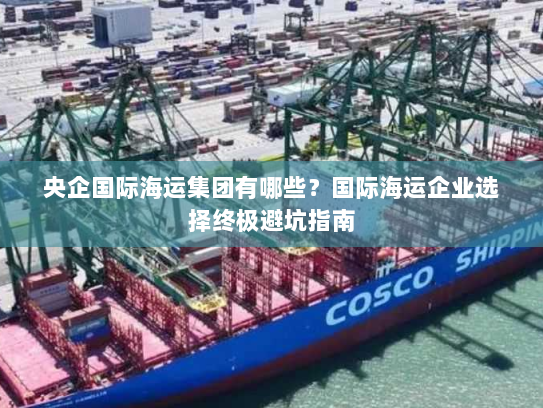 央企国际海运集团有哪些?国际海运企业选择终极避坑指南 央企国际海运集团有哪些?国际海运企业选择终极避坑指南