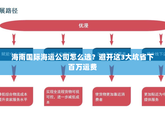 海南国际海运公司怎么选？避开这3大坑省下百万运费