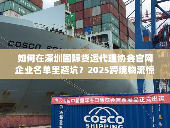 如何在深圳国际货运代理协会官网企业名单里避坑？2025跨境物流惊现关键抉择！