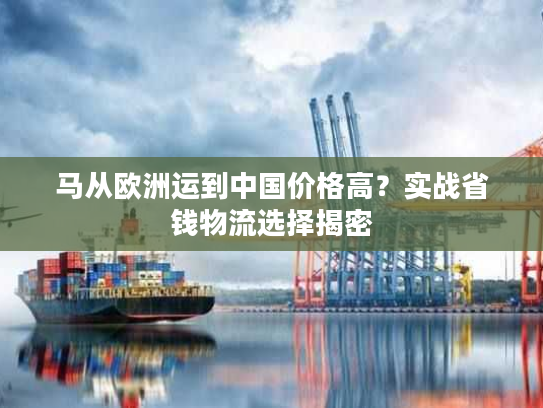 马从欧洲运到中国价格高？实战省钱物流选择揭密
