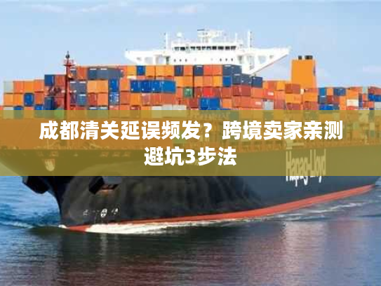 成都清关延误频发？跨境卖家亲测避坑3步法