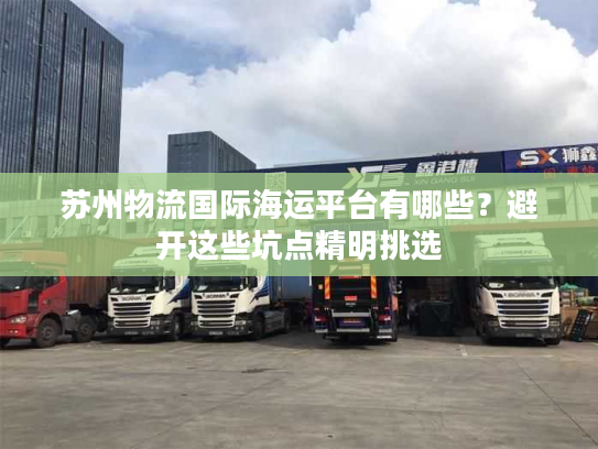 苏州物流国际海运平台有哪些？避开这些坑点精明挑选