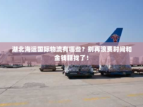 湖北海运国际物流有哪些？别再浪费时间和金钱瞎找了！