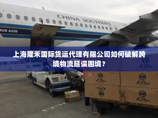 上海隆禾国际货运代理有限公司如何破解跨境物流延误困境? 上海隆禾国际货运代理有限公司如何破解跨境物流延误困境?