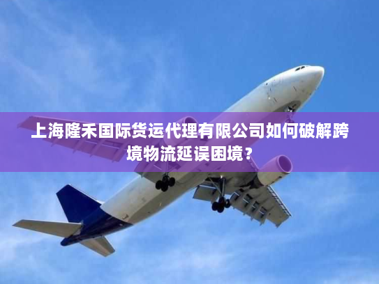 上海隆禾国际货运代理有限公司如何破解跨境物流延误困境? 上海隆禾国际货运代理有限公司如何破解跨境物流延误困境?