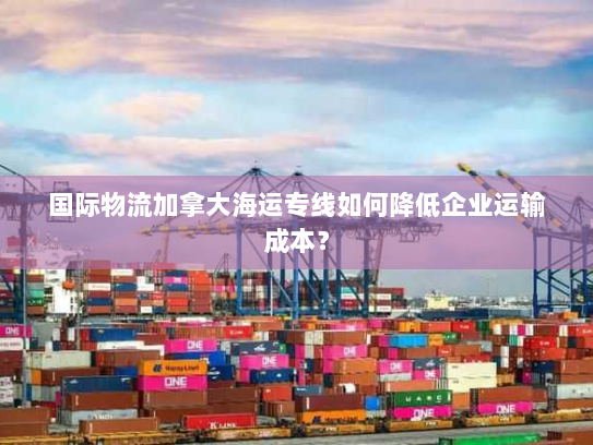 国际物流加拿大海运专线如何降低企业运输成本? 国际物流加拿大海运专线如何降低企业运输成本?