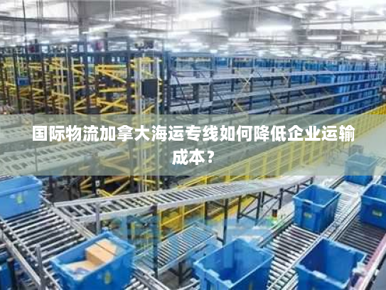 国际物流加拿大海运专线如何降低企业运输成本? 国际物流加拿大海运专线如何降低企业运输成本?