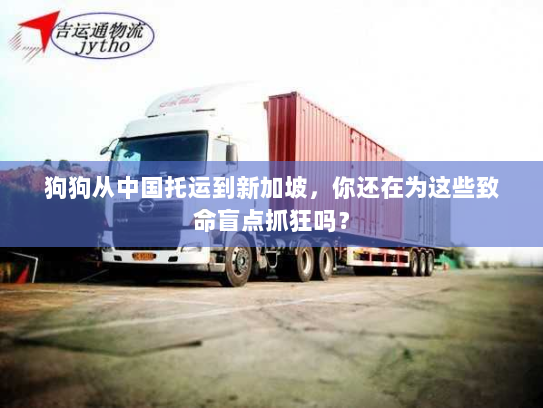 狗狗从中国托运到新加坡,你还在为这些致命盲点抓狂吗? 狗狗从中国托运到新加坡,你还在为这些致命盲点抓狂吗?