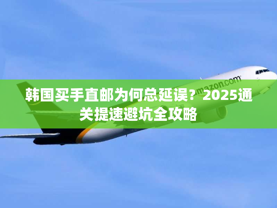 韩国买手直邮为何总延误？2025通关提速避坑全攻略