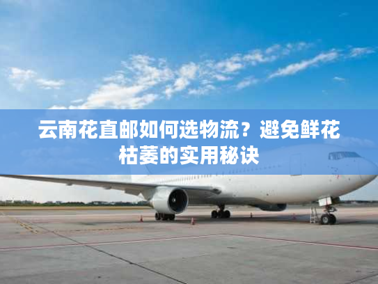 云南花直邮如何选物流？避免鲜花枯萎的实用秘诀