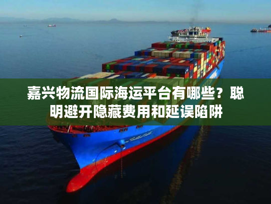 嘉兴物流国际海运平台有哪些？聪明避开隐藏费用和延误陷阱