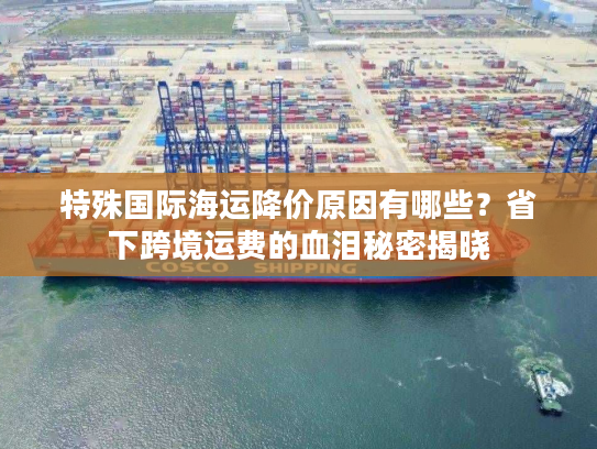 特殊国际海运降价原因有哪些?省下跨境运费的血泪秘密揭晓 特殊国际海运降价原因有哪些?省下跨境运费的血泪秘密揭晓