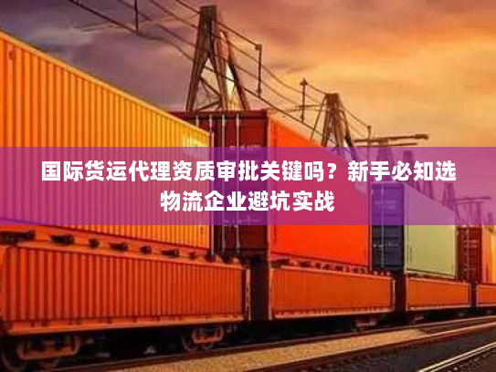 国际货运代理资质审批关键吗？新手必知选物流企业避坑实战