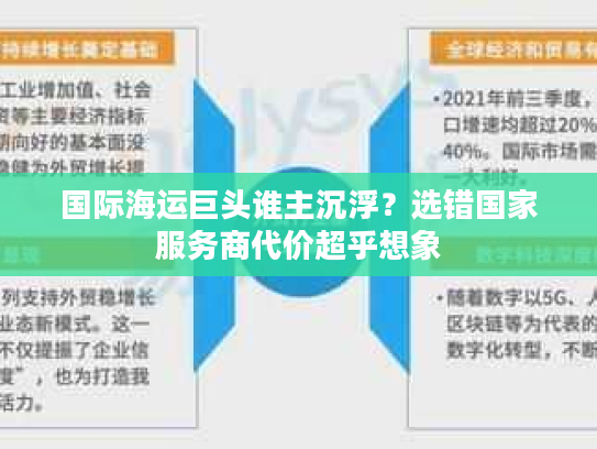 国际海运巨头谁主沉浮？选错国家服务商代价超乎想象