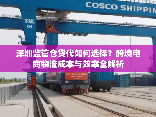 深圳监管仓货代如何选择？跨境电商物流成本与效率全解析