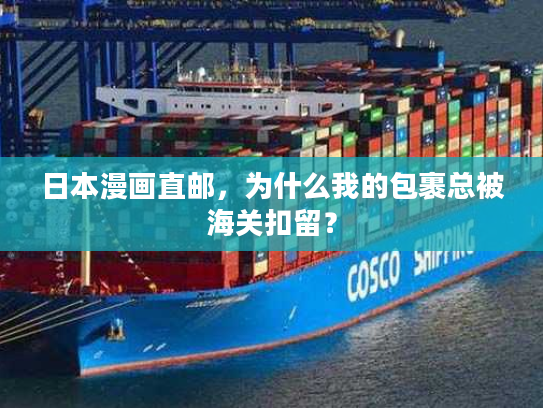 日本漫画直邮,为什么我的包裹总被海关扣留? 日本漫画直邮,为什么我的包裹总被海关扣留?