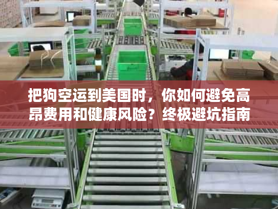 把狗空运到美国时，你如何避免高昂费用和健康风险？终极避坑指南