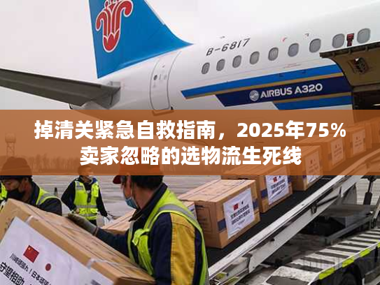 掉清关紧急自救指南，2025年75%卖家忽略的选物流生死线
