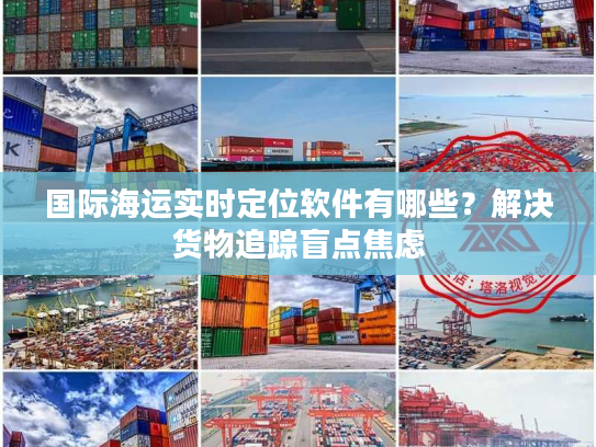 国际海运实时定位软件有哪些？解决货物追踪盲点焦虑