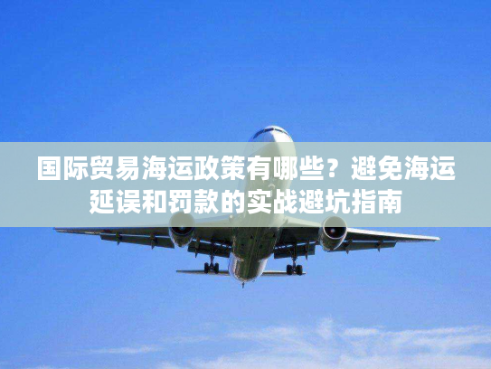 国际贸易海运政策有哪些？避免海运延误和罚款的实战避坑指南