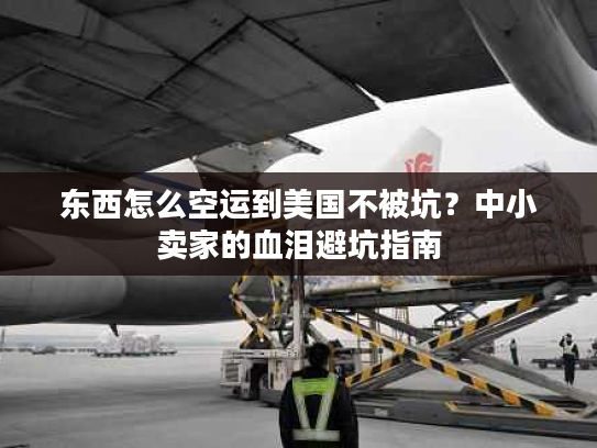 东西怎么空运到美国不被坑?中小卖家的血泪避坑指南 东西怎么空运到美国不被坑?中小卖家的血泪避坑指南