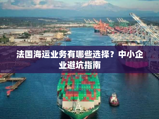 法国海运业务有哪些选择？中小企业避坑指南