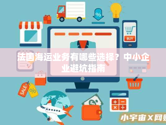 法国海运业务有哪些选择？中小企业避坑指南