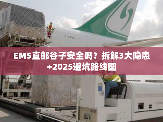 EMS直邮谷子安全吗？拆解3大隐患+2025避坑路线图