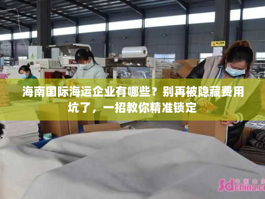 海南国际海运企业有哪些?别再被隐藏费用坑了,一招教你精准锁定 海南国际海运企业有哪些?别再被隐藏费用坑了,一招教你精准锁定