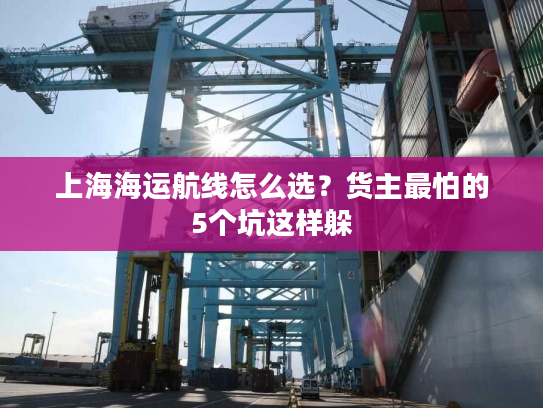 上海海运航线怎么选？货主最怕的5个坑这样躲