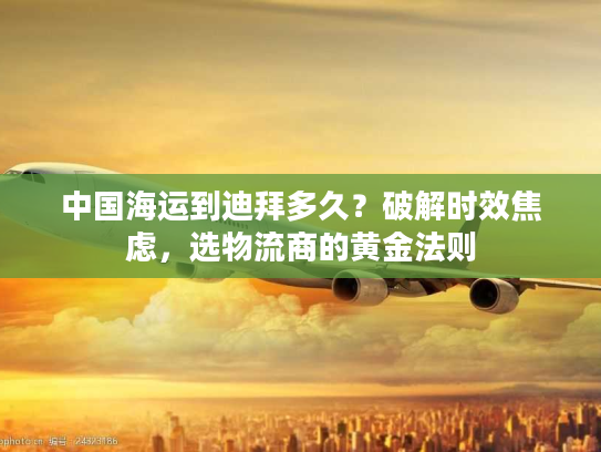 中国海运到迪拜多久？破解时效焦虑，选物流商的黄金法则