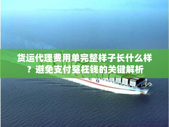 货运代理费用单完整样子长什么样?避免支付冤枉钱的关键解析 货运代理费用单完整样子长什么样?避免支付冤枉钱的关键解析
