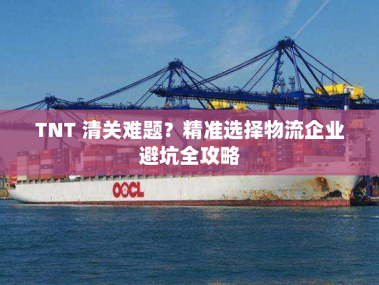 TNT 清关难题？精准选择物流企业避坑全攻略
