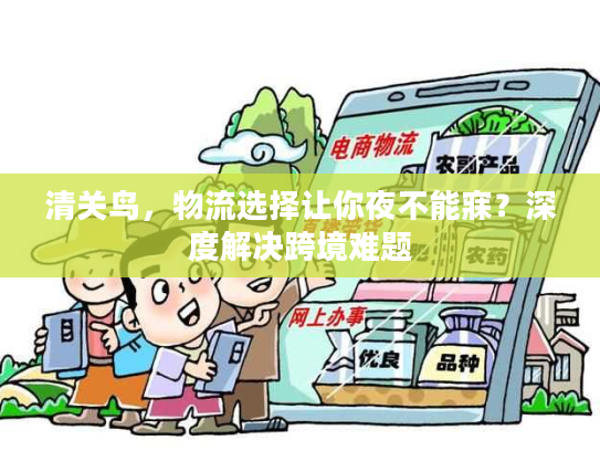 清关鸟，物流选择让你夜不能寐？深度解决跨境难题