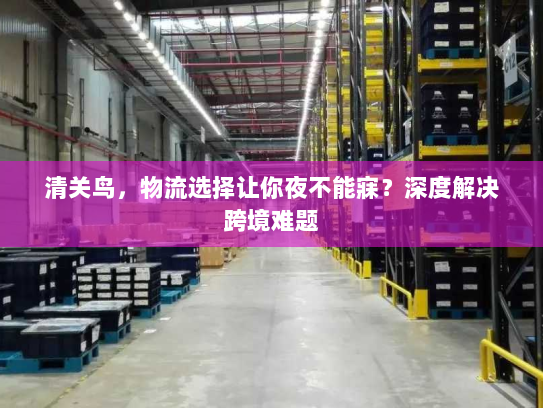 清关鸟,物流选择让你夜不能寐?深度解决跨境难题 清关鸟,物流选择让你夜不能寐?深度解决跨境难题