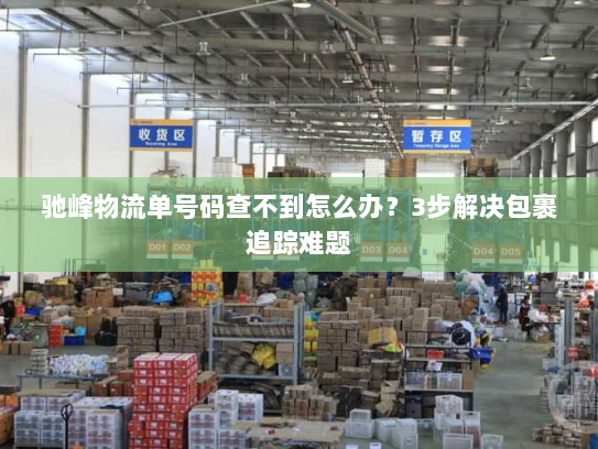 驰峰物流单号码查不到怎么办?3步解决包裹追踪难题 驰峰物流单号码查不到怎么办?3步解决包裹追踪难题