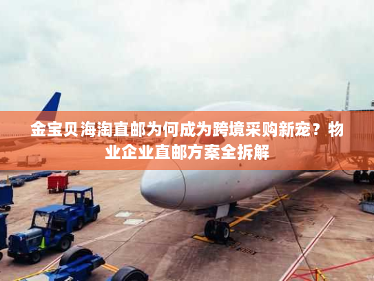 金宝贝海淘直邮为何成为跨境采购新宠?物业企业直邮方案全拆解 金宝贝海淘直邮为何成为跨境采购新宠?物业企业直邮方案全拆解