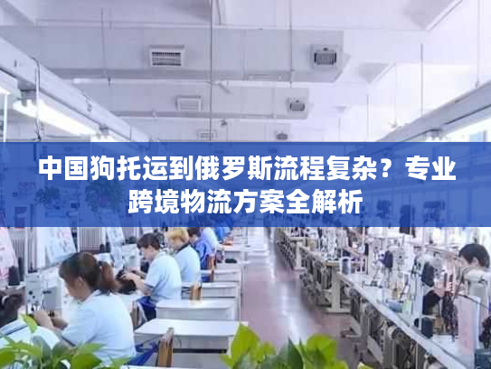 中国狗托运到俄罗斯流程复杂？专业跨境物流方案全解析