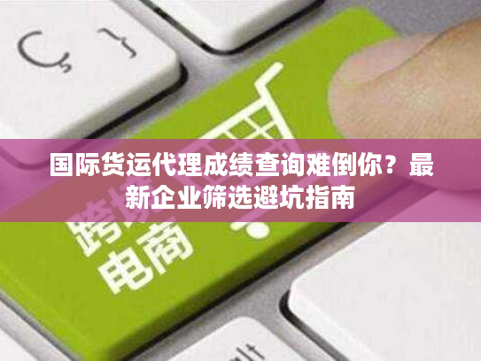 国际货运代理成绩查询难倒你?最新企业筛选避坑指南 国际货运代理成绩查询难倒你?最新企业筛选避坑指南