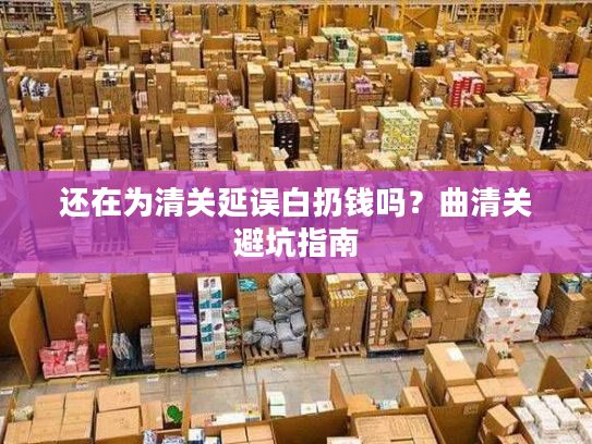 还在为清关延误白扔钱吗？曲清关避坑指南