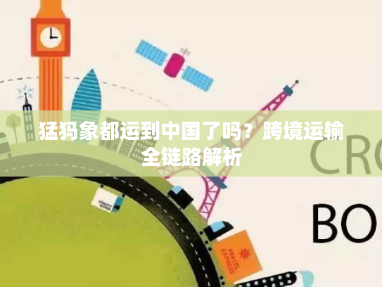 猛犸象都运到中国了吗？跨境运输全链路解析