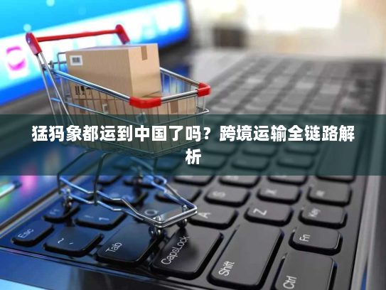 猛犸象都运到中国了吗?跨境运输全链路解析 猛犸象都运到中国了吗?跨境运输全链路解析