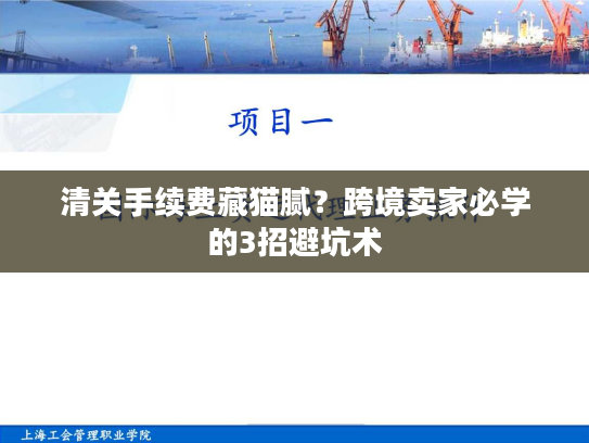 清关手续费藏猫腻？跨境卖家必学的3招避坑术