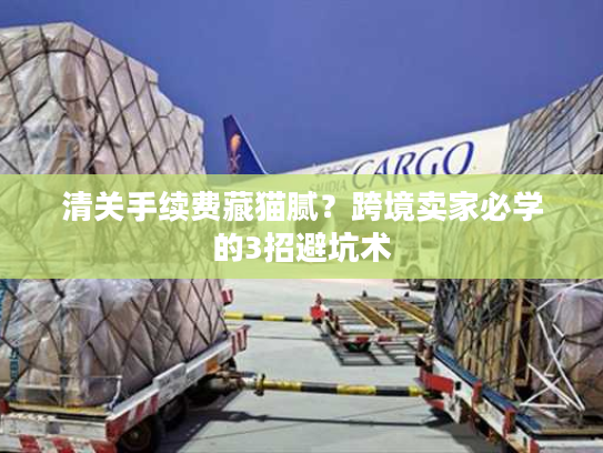清关手续费藏猫腻？跨境卖家必学的3招避坑术
