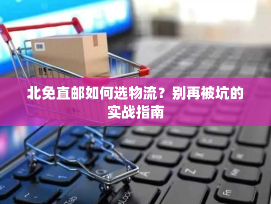 北免直邮如何选物流？别再被坑的实战指南