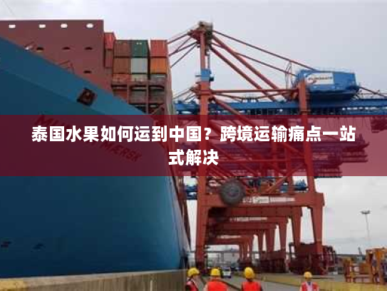 泰国水果如何运到中国？跨境运输痛点一站式解决