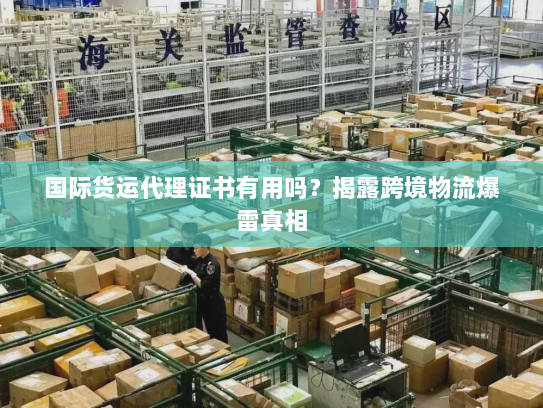 国际货运代理证书有用吗？揭露跨境物流爆雷真相