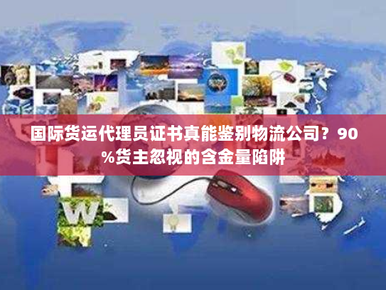 国际货运代理员证书真能鉴别物流公司？90%货主忽视的含金量陷阱