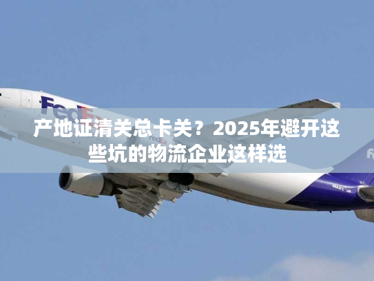 产地证清关总卡关？2025年避开这些坑的物流企业这样选