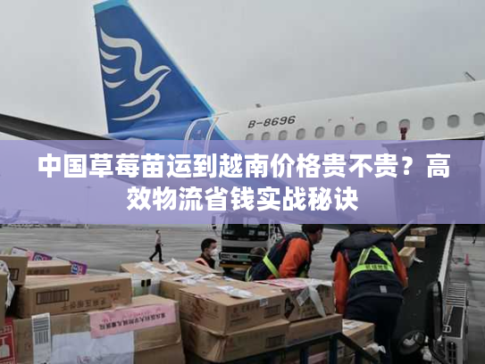 中国草莓苗运到越南价格贵不贵？高效物流省钱实战秘诀